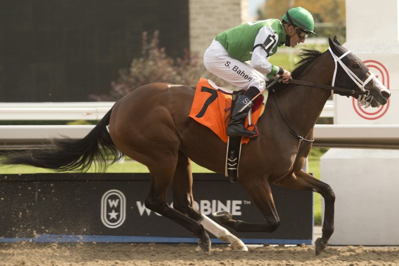 Jilli Marie, listed as 30-1 in the Queen’s Plate Winterbook, is pictured winning the fifth race at Woodbine Racetrack on October 3, 2020 for trainer Katerina Vassilieva. Photo by Michael Burns. 