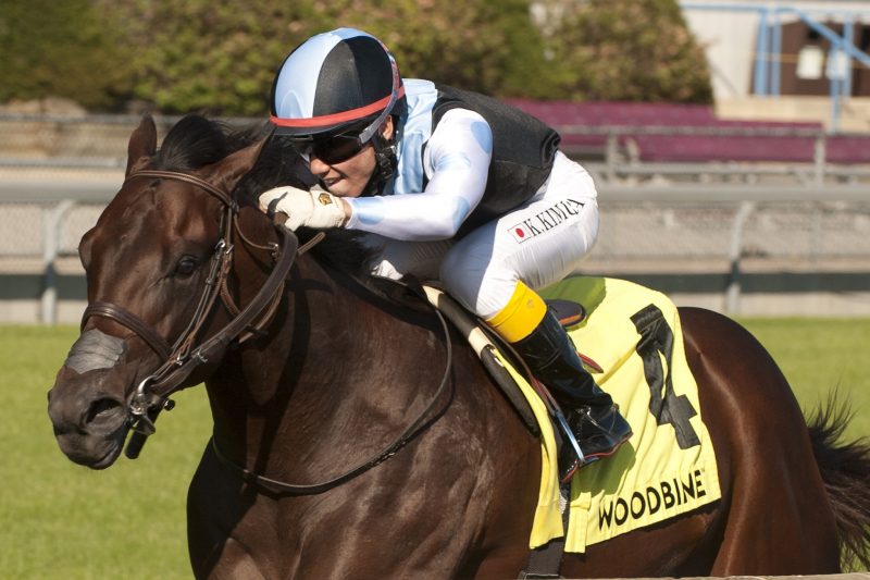 Jockey Kazushi Kimura guides Gretzky the Great to victory during the Summer Stakes on September 20, 2020 at Woodbine Racetrack in Toronto. Photo by Michael Burns.