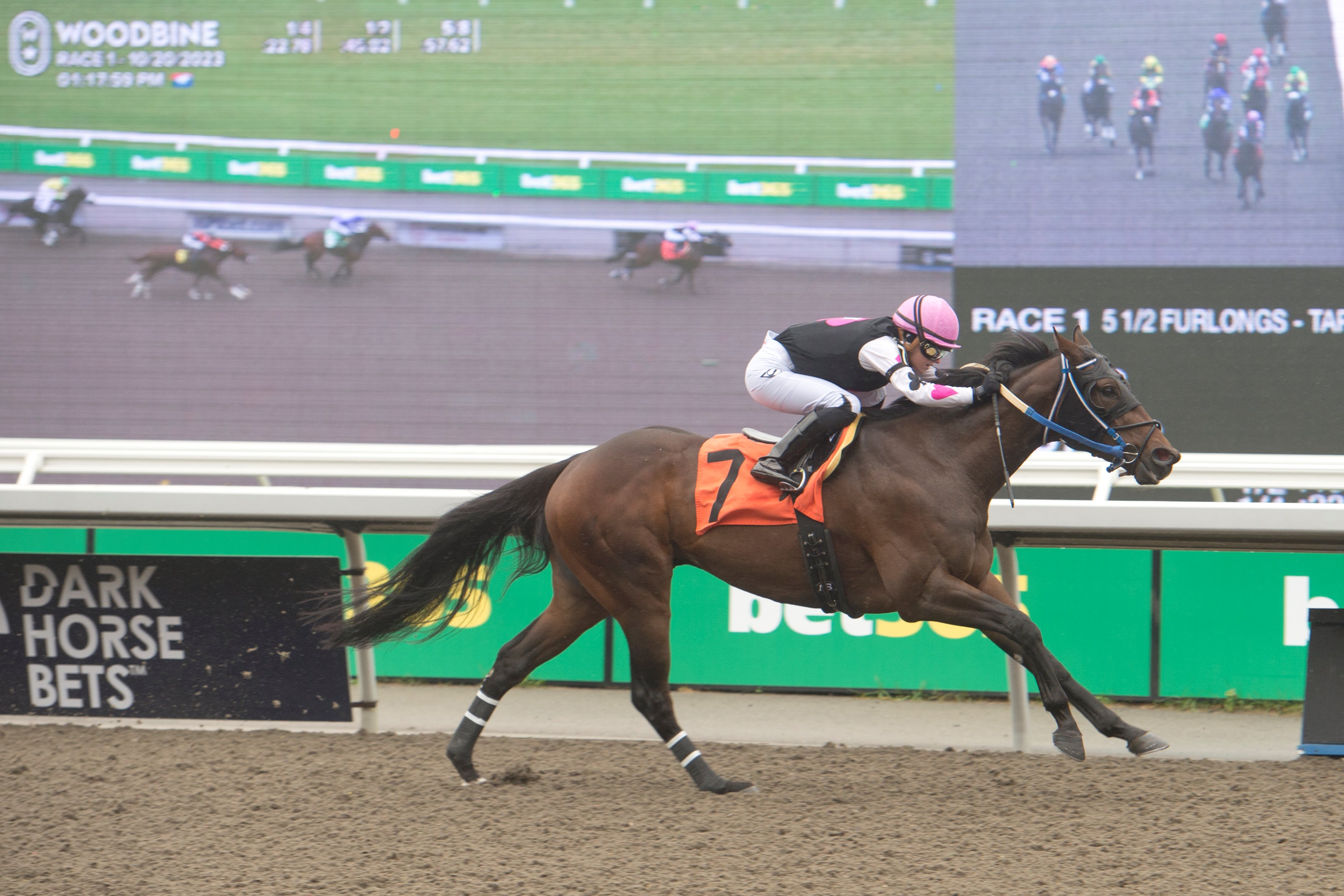 Dancin' Deputy and jockey Sofia Vives -in Joe Pignatelli silks- winning Race 1 on October 20, 2023 (Michael Burns Photo)