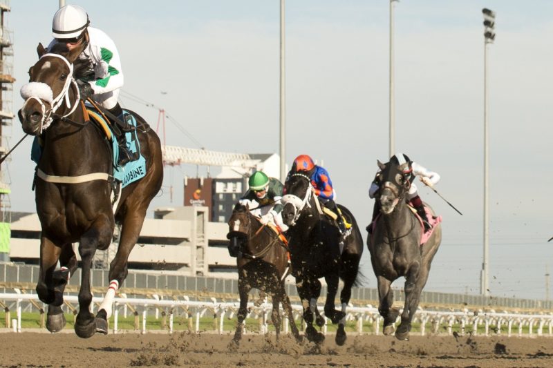 Justin Stein guides Moira to victory in the 76th running of the Princess Elizabeth Stakes at Woodbine. (Michael Burns Photo)