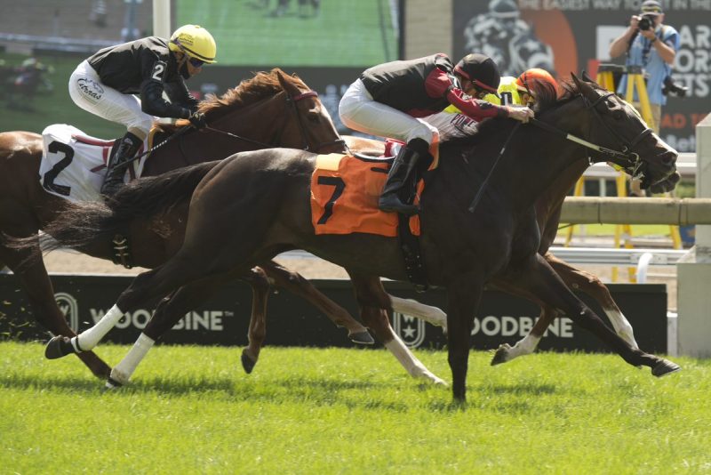 Juxtapose, under Gary Boulanger, narrowly stick a head in front to win on August 22, 2021 at Woodbine. (Michael Burns Photo)