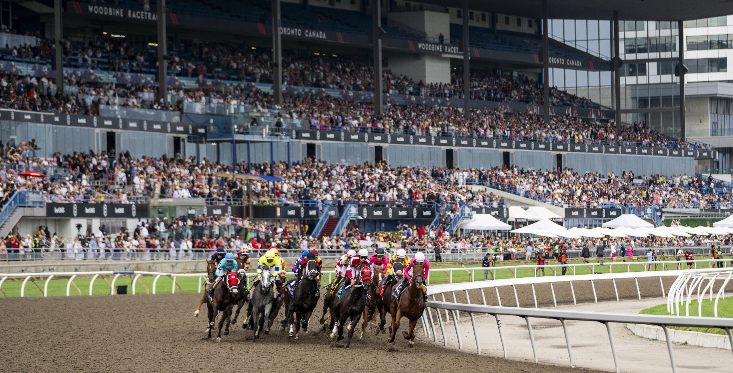 Horses enter the first turn during the 2023 King's Plate. The 165th running of The King's Plate will be held on Saturday, August 17, 2024. (Michael Burns Photo)