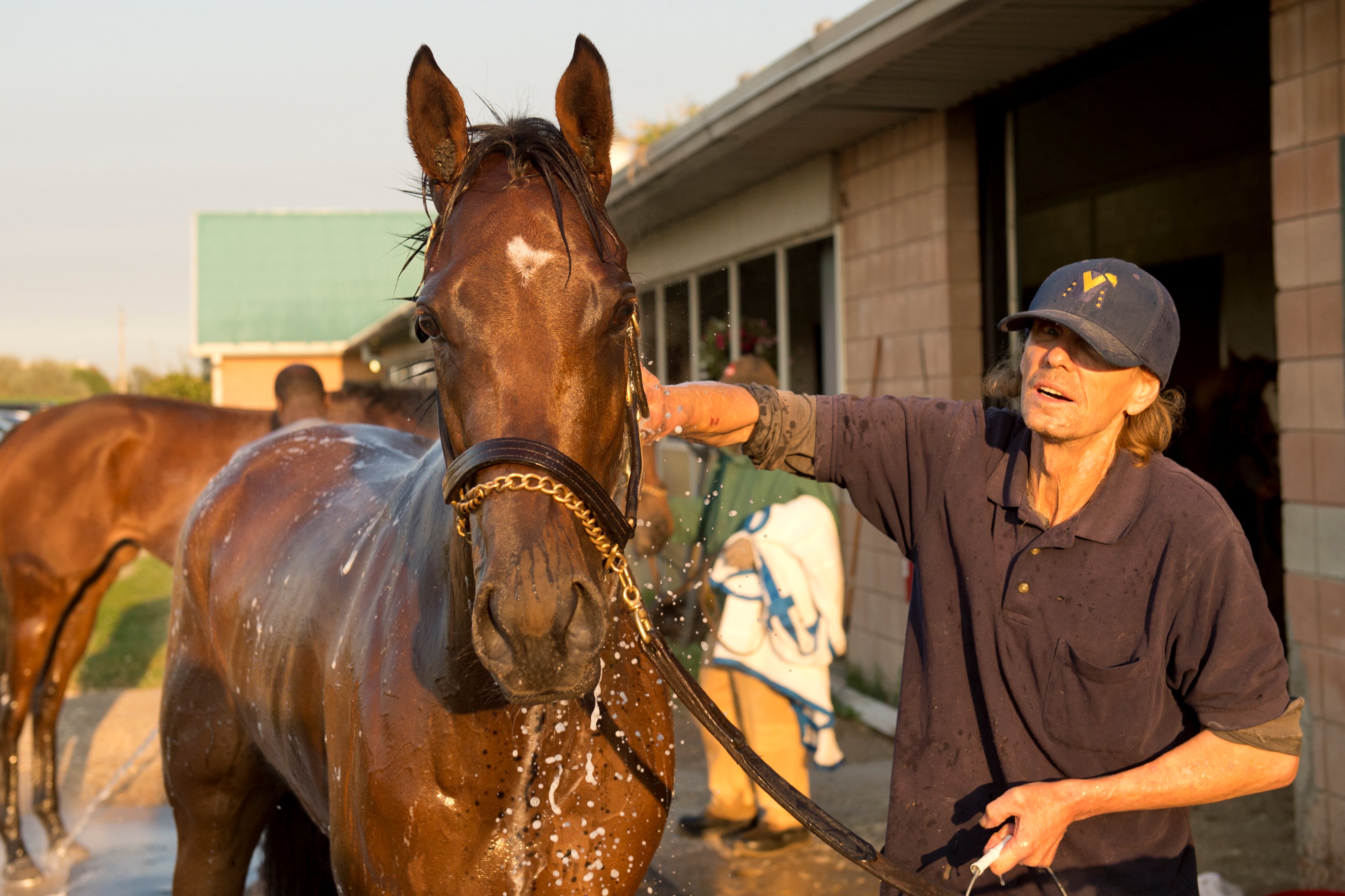 Horse Person of the Month for September Presented by New Holland: Kevin Honsberger – Woodbine Racetrack