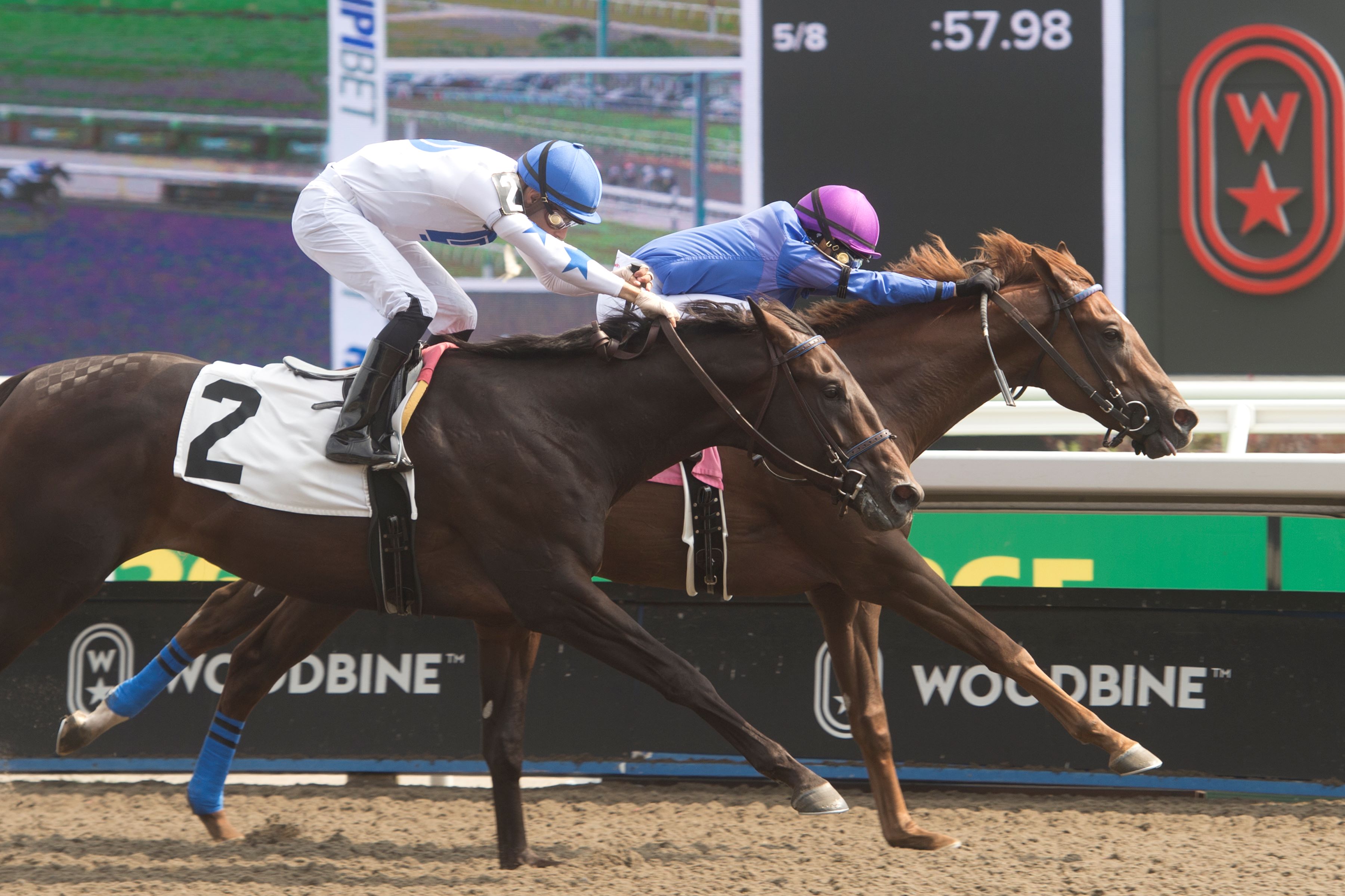 Kokomo and jockey Sofia Vives winning Race 6 on August 4, 2024 at Woodbine (Michael Burns Photo)