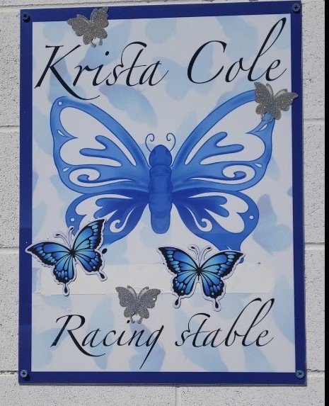 Krista Cole's silks design