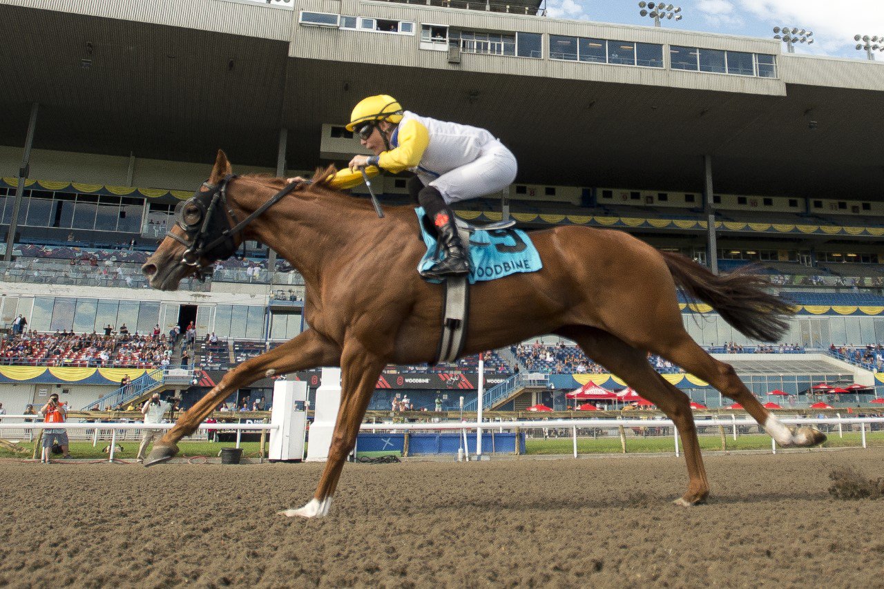 The first ‘Lady’ of the Grade 3 Trillium - Woodbine Racetrack