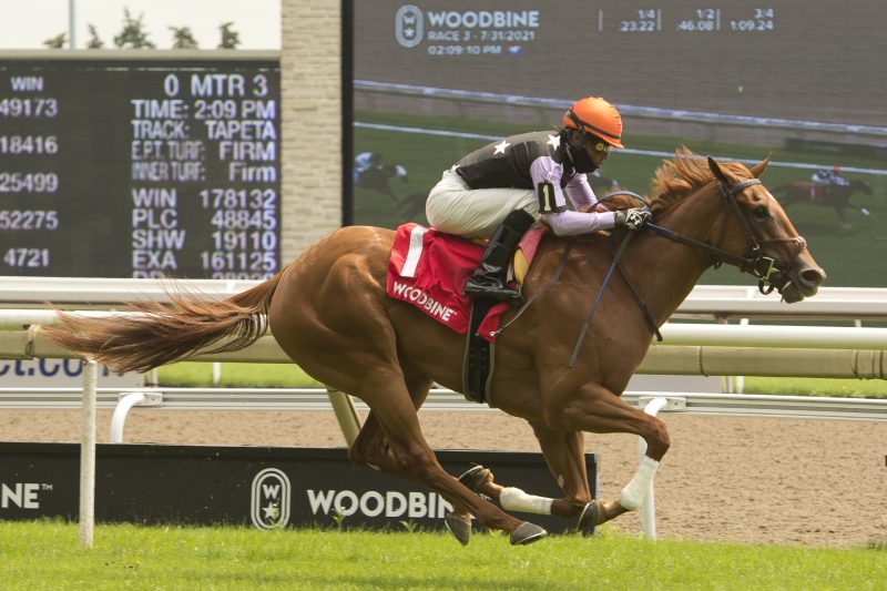 Lady War Machine, a chestnut daughter of Street Boss, trained by Josie Carroll, called the shots in taking the $100,000 Alywow Stakes, Saturday afternoon at Woodbine Racetrack in Toronto. Michael Burns photo.
