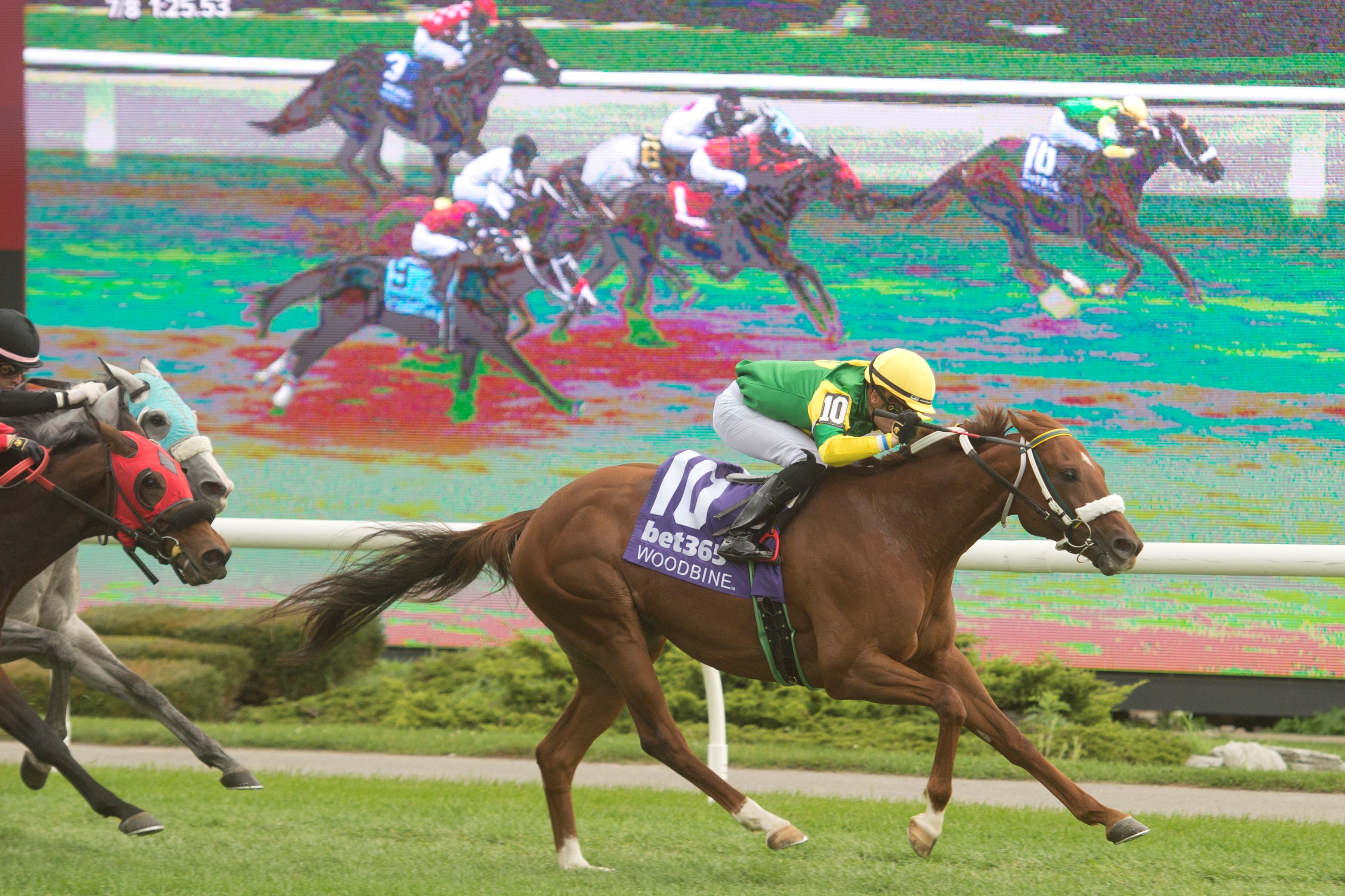 Lady in Red and jockey Austin Adams winning Race 4 on October 6, 2024 at Woodbine (Michael Burns Photo)