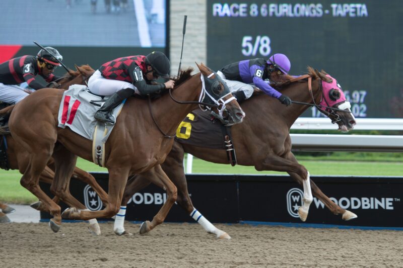 Lakeside Park and jockey Patrick Husbands winning Race 8 on August 11, 2019 at Woodbine (Michael Burns Photo)