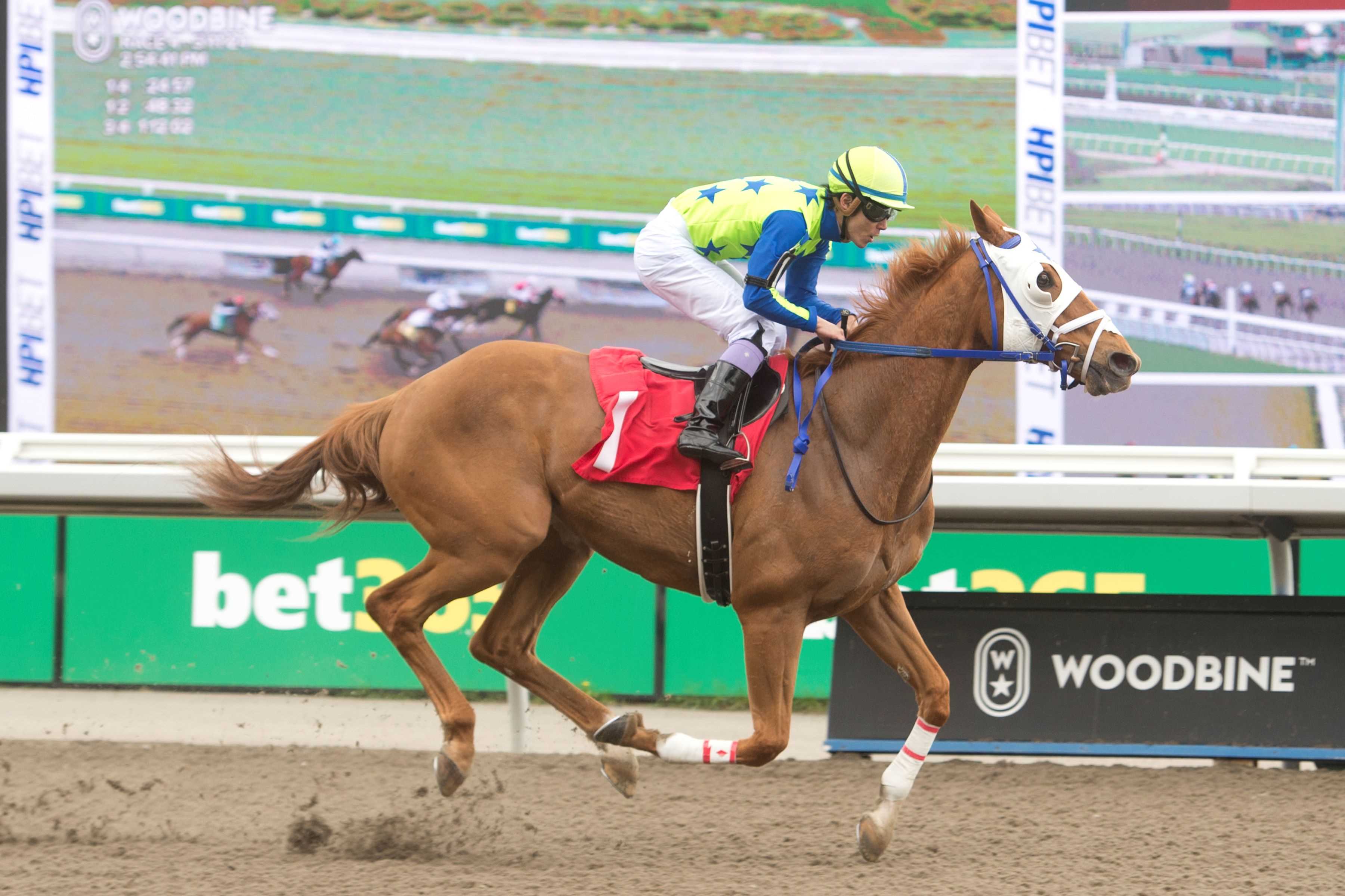 Lapochka and jockey Pietro Moran winning Race 1 on August 31, 2024 at Woodbine (Michael Burns Photo)