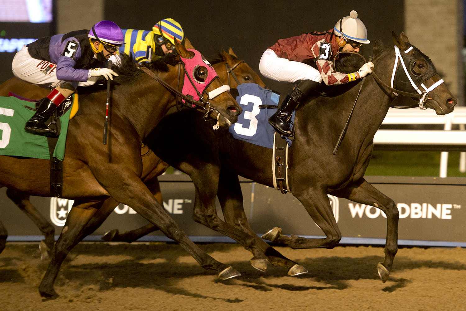 Jockey Leo Salles in action, winning with Lookinatamiracle on October 17, 2020 at Woodbine Racetrack. (Michael Burns Photo)