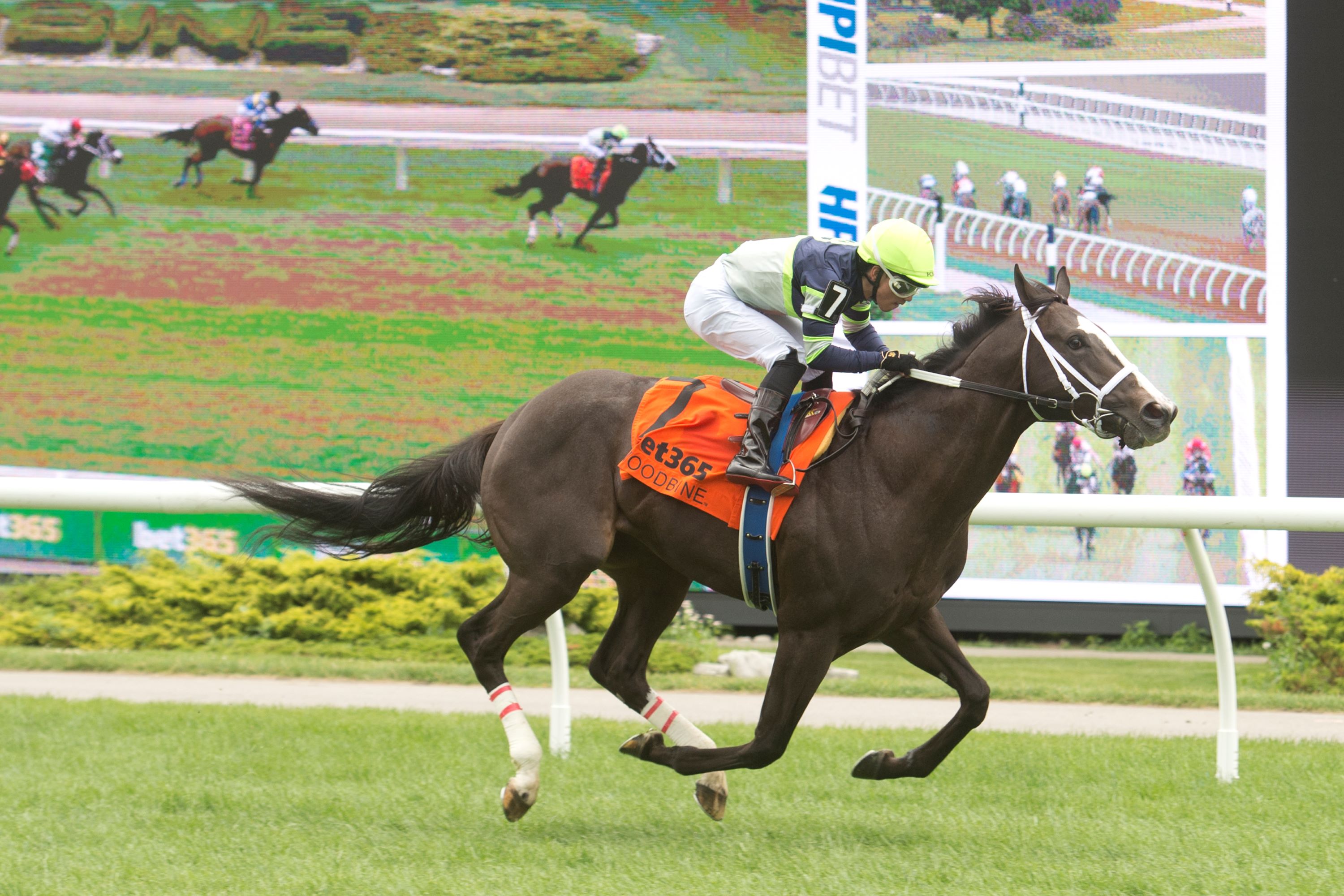 Georgian Bay, Lake Huron kick off Ontario Sired Heritage Series – Woodbine Racetrack