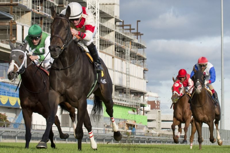 Lorena and Gary Boulanger handle the Woodbine turf with ease, capturing the Thunder Bay Stakes. (Michael Burns Photo)