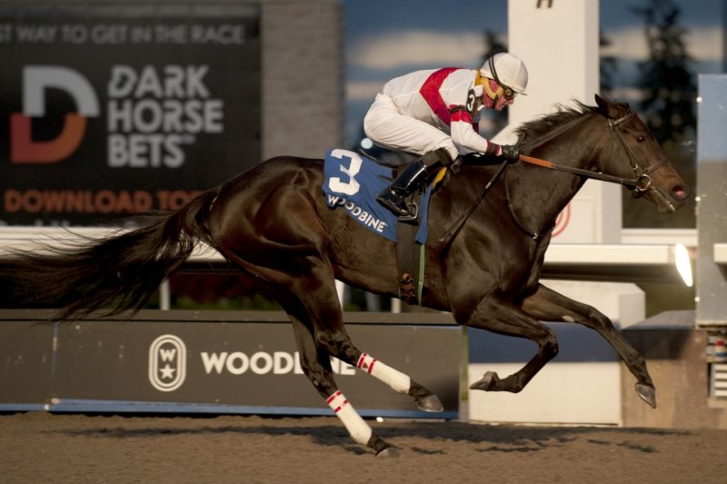 Lorena earns top honours in the Ashbridges Bay Stakes carrying Gary Boulanger to victory at Woodbine. (Michael Burns Photo)