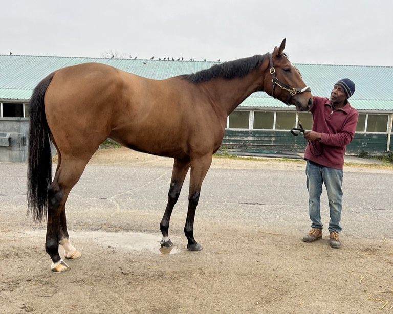 Miss Pierre and her groom, Meverton Donaldson