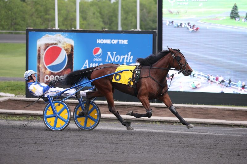 James MacDonald steering Adare Castle to victory in the SBOA Filly Trot on May 21. (New Image Media)