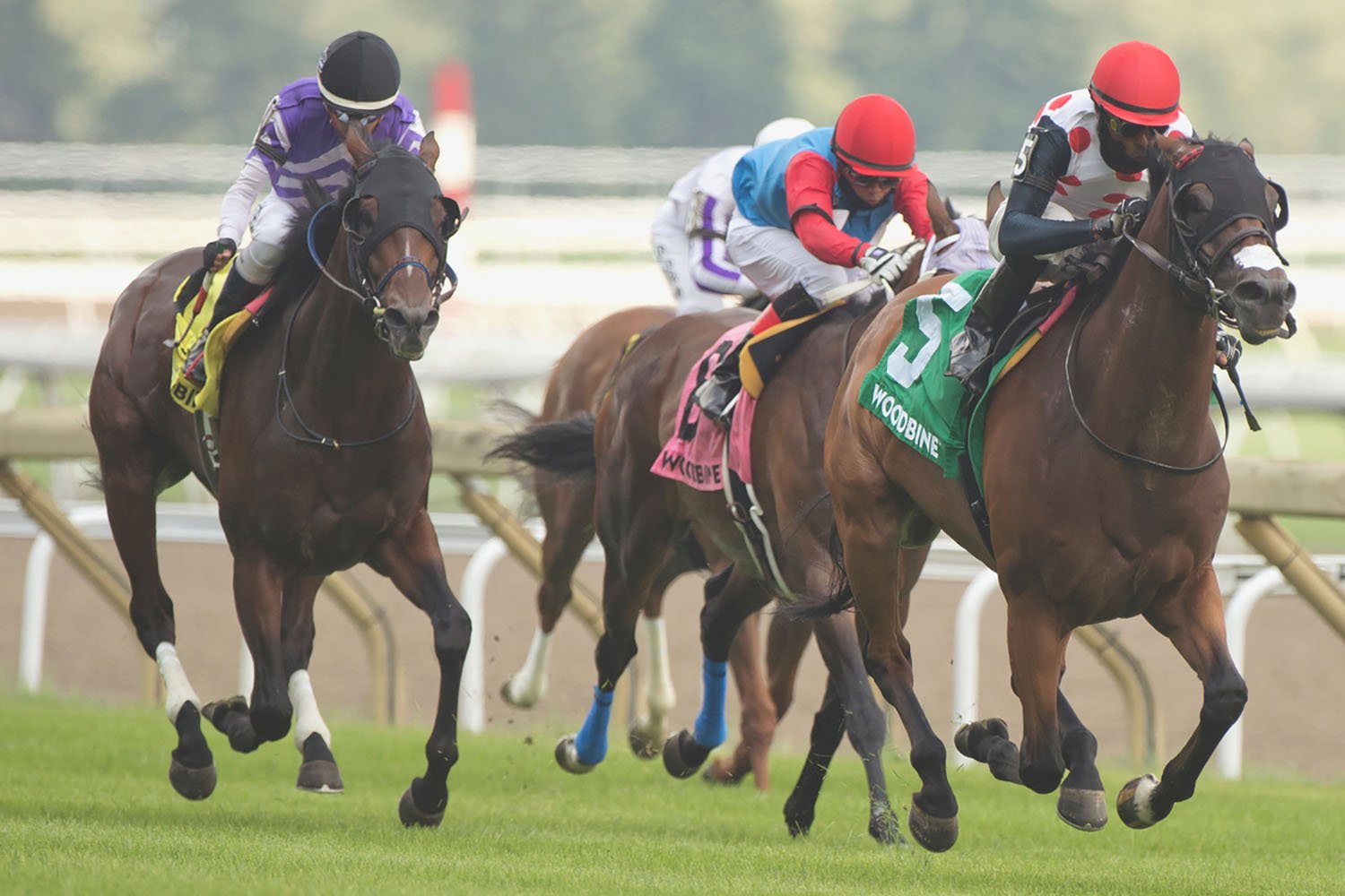 March to the Arch and jockey Patrick Husbands winning the $100,000 Niagara Stakes on Sunday, July 25 at Woodbine Racetrack. (Michael Burns Photo)