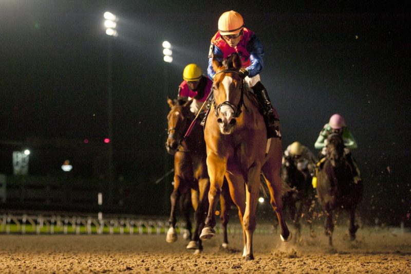 Marie MacKay and Justin Stein shine under the lights on Oct. 8, 2021 capturing the Shady Well Stakes at Woodbine. (Michael Burns Photo)