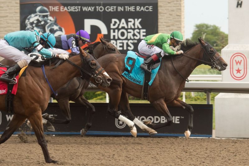 Mason's Gamble in Ontario Jockey Club Stakes (Michael Burns Photo)