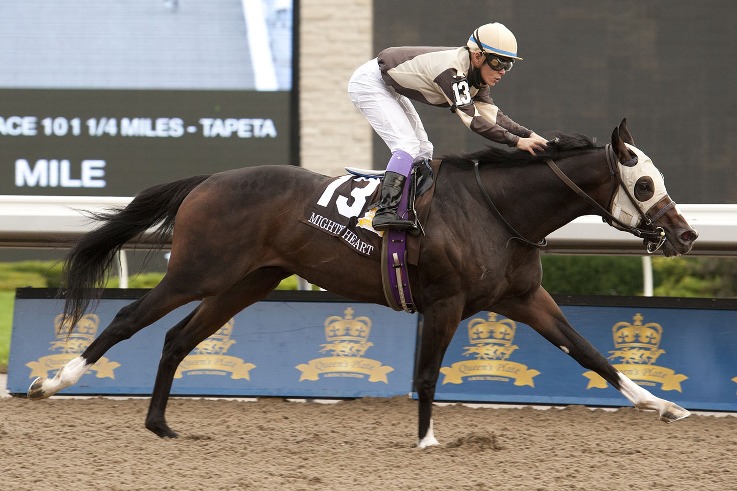 Mighty Heart winning the $1 million Queen’s Plate, first jewel of the OLG Canadian Triple Crown, on September 12 at Woodbine Racetrack. (Michael Burns Photo)