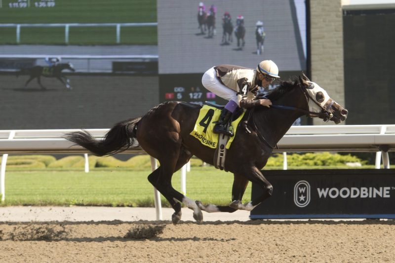 Mighty Heart winning the 2021 Dominion Day Stakes. (Michael Burns photo)