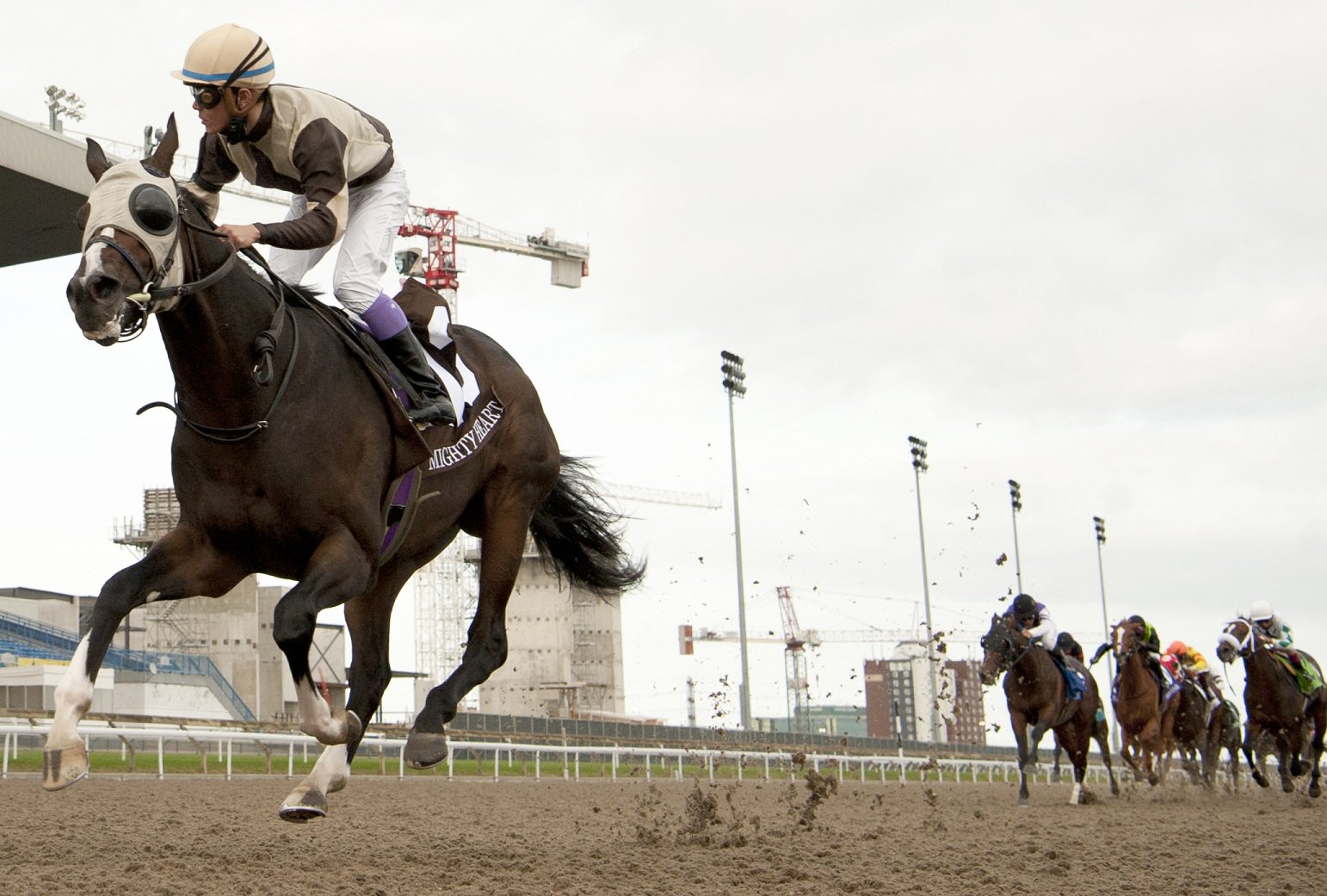Woodbine Entertainment and TSN deliver more weekly horse racing
