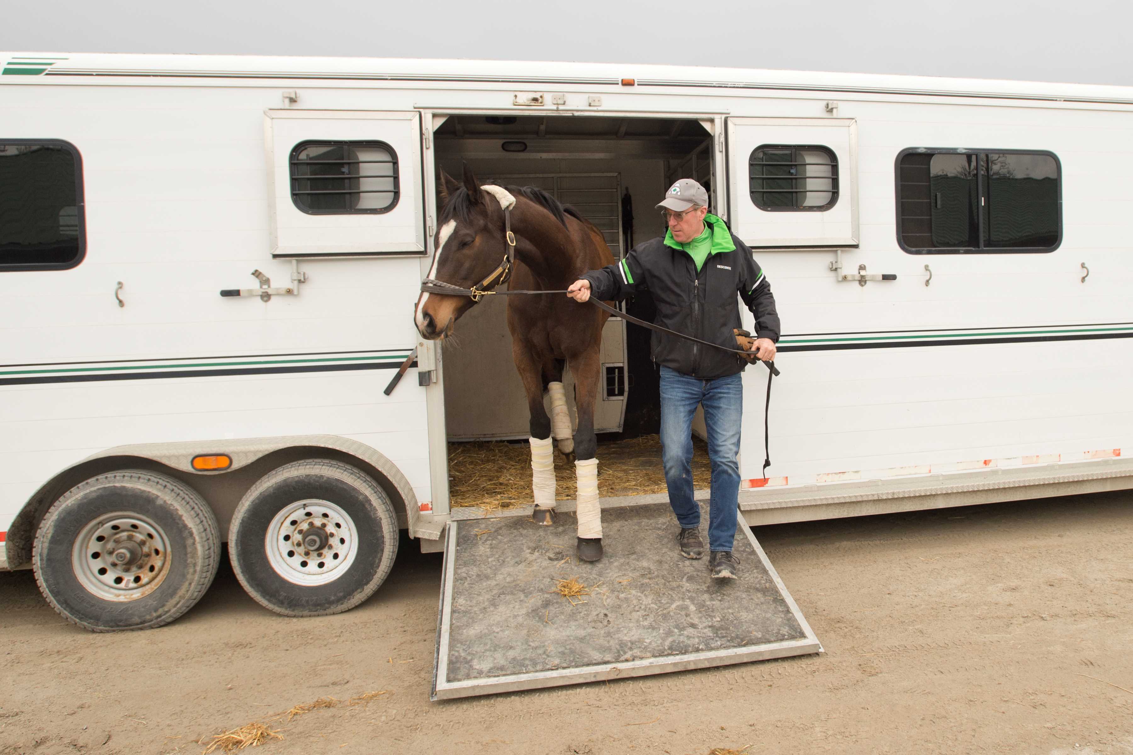 Millie Girl arriving to the Woodbine Backstretch for the 2024 season with Todd Phillips (Michael Burns Photo)