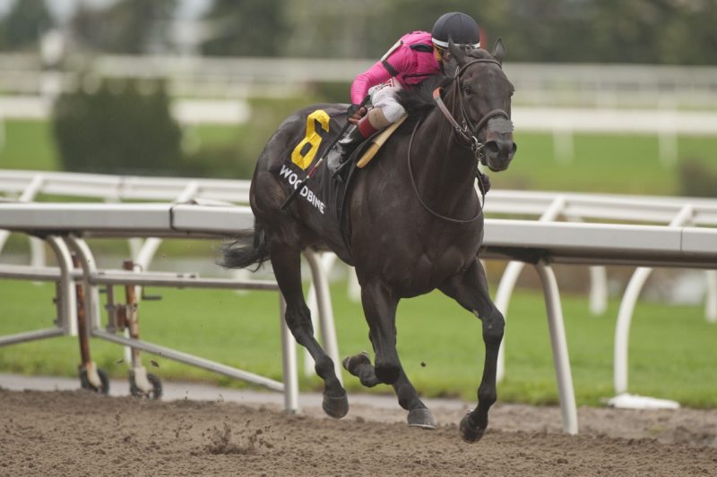 Miss Speedy, with Rafael Hernandez aboard, scores the Duchess Stakes victory at Woodbine on September 25, 2021. (Michael Burns Photo) 