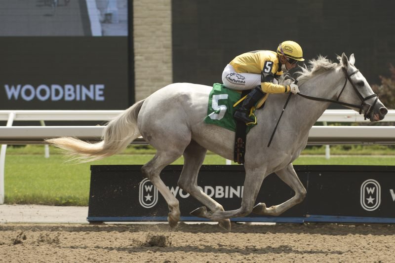 Trainer Julia Carey comes into 2021 with the exciting, stretch-running gelding Mnemba Island ready to tackle stakes company as a newly turned 4-year-old. Pictured above at Woodbine Racetrack on July 11, 2020. Photo by Michael Burns.