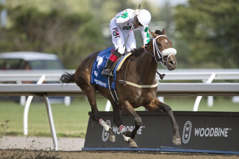 Moira and jockey Rafael Hernandez winning the Woodbine Oaks presented by Budweiser on July 24. (Michael Burns photo)