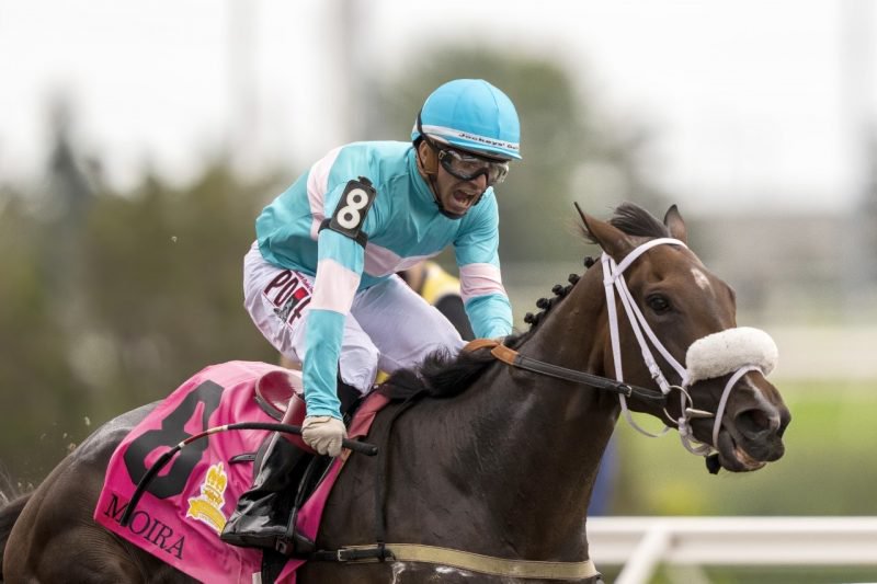 Breeders’ Cup Best Bets, Picks, and Predictions with Molly Jo Rosen (@MollyJoRosen)