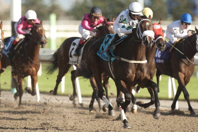 Moira, under jockey Justin Stein, made her debut a winning one capturing the 76th running of the Princess Elizabeth Stakes at Woodbine. (Michael Burns Photo)