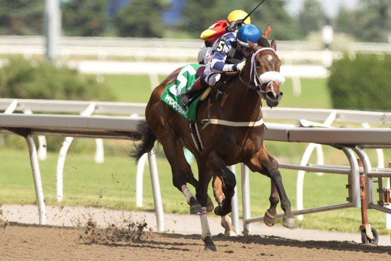 Moira was the class of the Stella Artois Fury Stakes field, capturing the $125,000 event with jockey Rafael Hernandez for trainer Kevin Attard. (Michael Burns Photo)