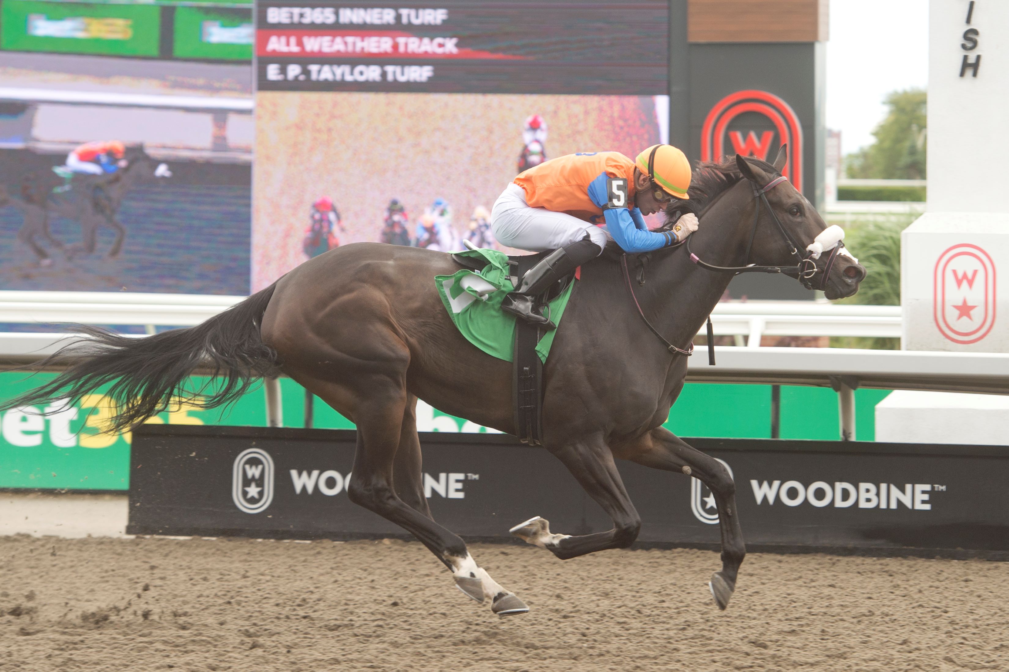 Mrs C and Sahin Civacci winning Race 2 on September 7, 2024 at Woodbine (Michael Burns Photo)