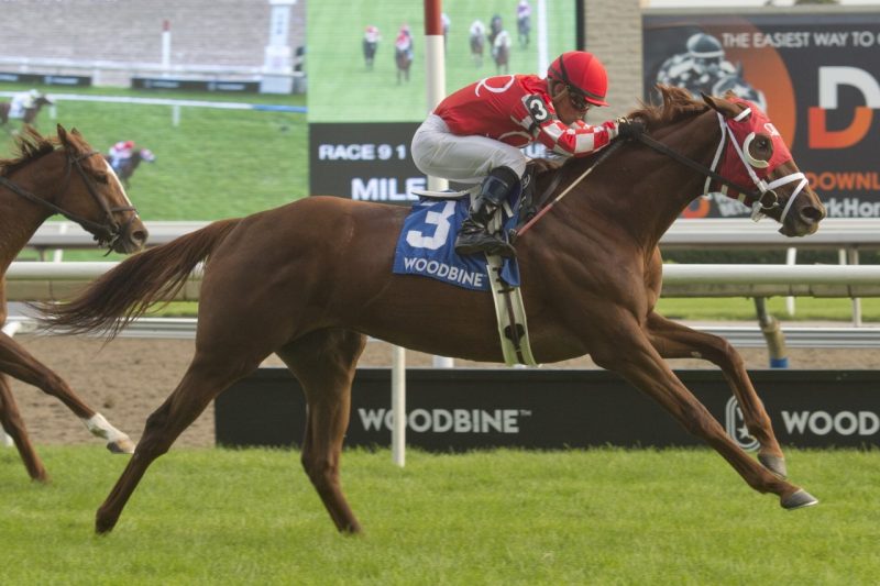Munnyfor Ro and jockey Justin Stein pull clear in the stretch to win the 2021 Wonder Where Stakes at Woodbine. (Michael Burns Photo)