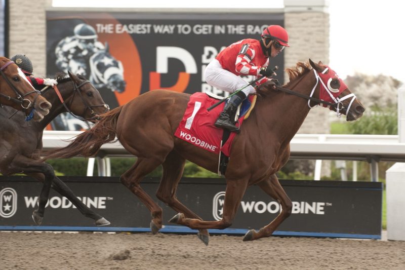 Munnyfor Ro, with Justin Stein in the saddle, toys with the field while capturing the Ontario Damsel Stakes at Woodbine. (Michael Burns Photo)