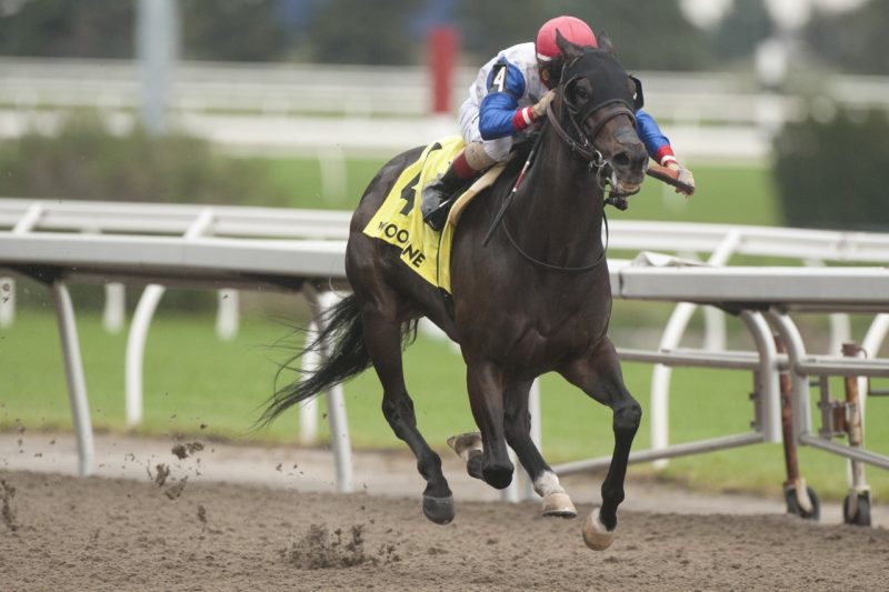 Not So Quiet and Rafael Hernandez pull away to earn top honours in the Overskate Stakes at Woodbine. (Michael Burns Photo)