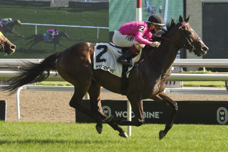 Olympic Runner established a new E.P. Taylor Turf Course record in winning Sunday's Grade 2 King Edward.