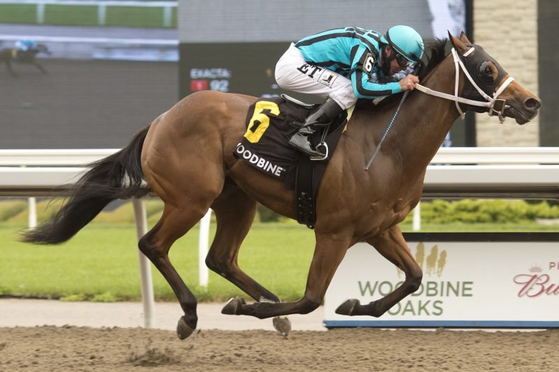 One Timer, under E.T. Baird, made it two impressive wins in a row, this time in the $125,000 Victoria Stakes on Saturday afternoon at Woodbine Racetrack in Toronto. Michael Burns photo.