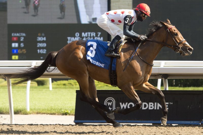 Our Flash Drive winning the Selene Stakes in July.