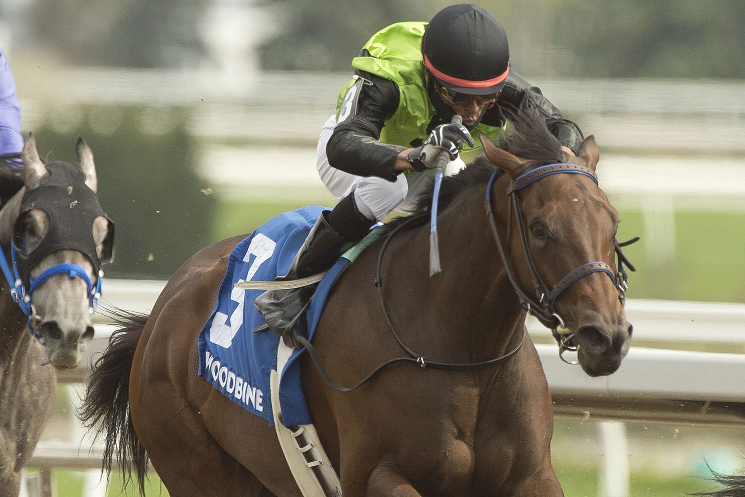 Painting winning the Ontario Fashion Stakes at Woodbine Racetrack. (Michael Burns Photo)