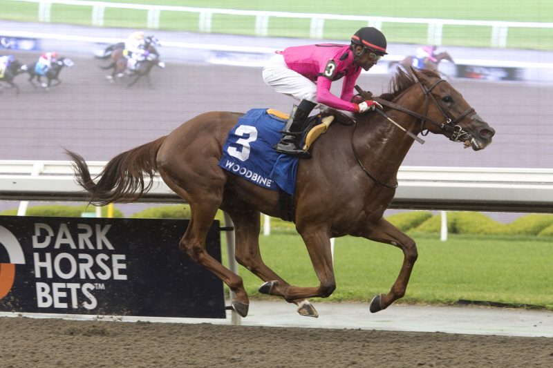 Paramount Prince and jockey Patrick Husbands winning the Plate Trial Stakes on July 23, 2023 at Woodbine (Michael Burns Photo)