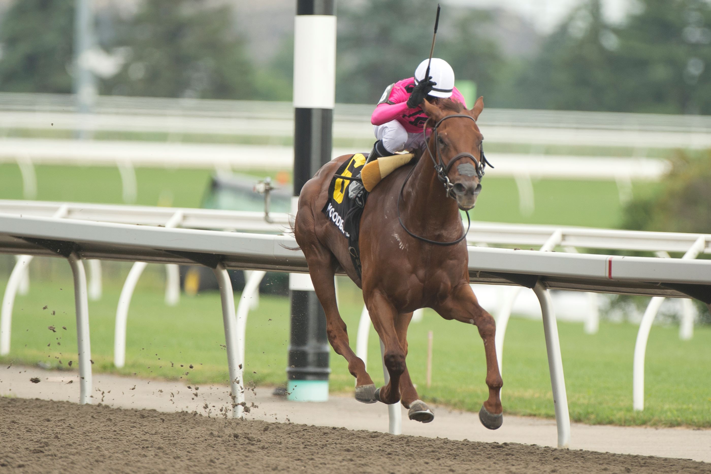 Top 3 Woodbine Weekend Highlights (June 29-30) – Woodbine Racetrack