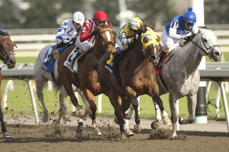 Patches O'Houlihan (6) guts out the victory in the Grade 3 Vigil on Saturday at Woodbine.