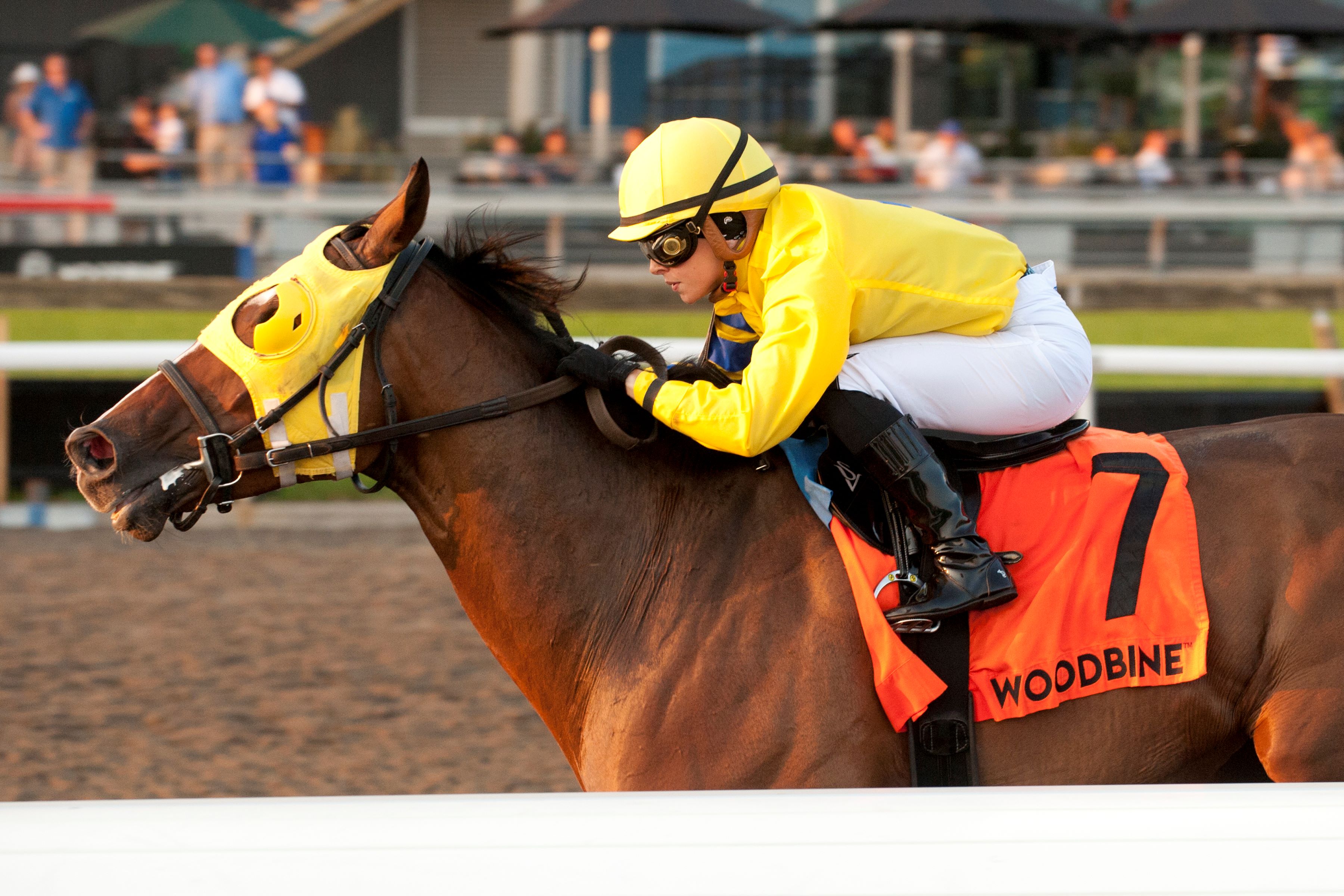 Patches O'Houlihan and jockey Sofia Vives winning the Vigil Stakes on September 14, 2024 at Woodbine (Michael Burns Photo)