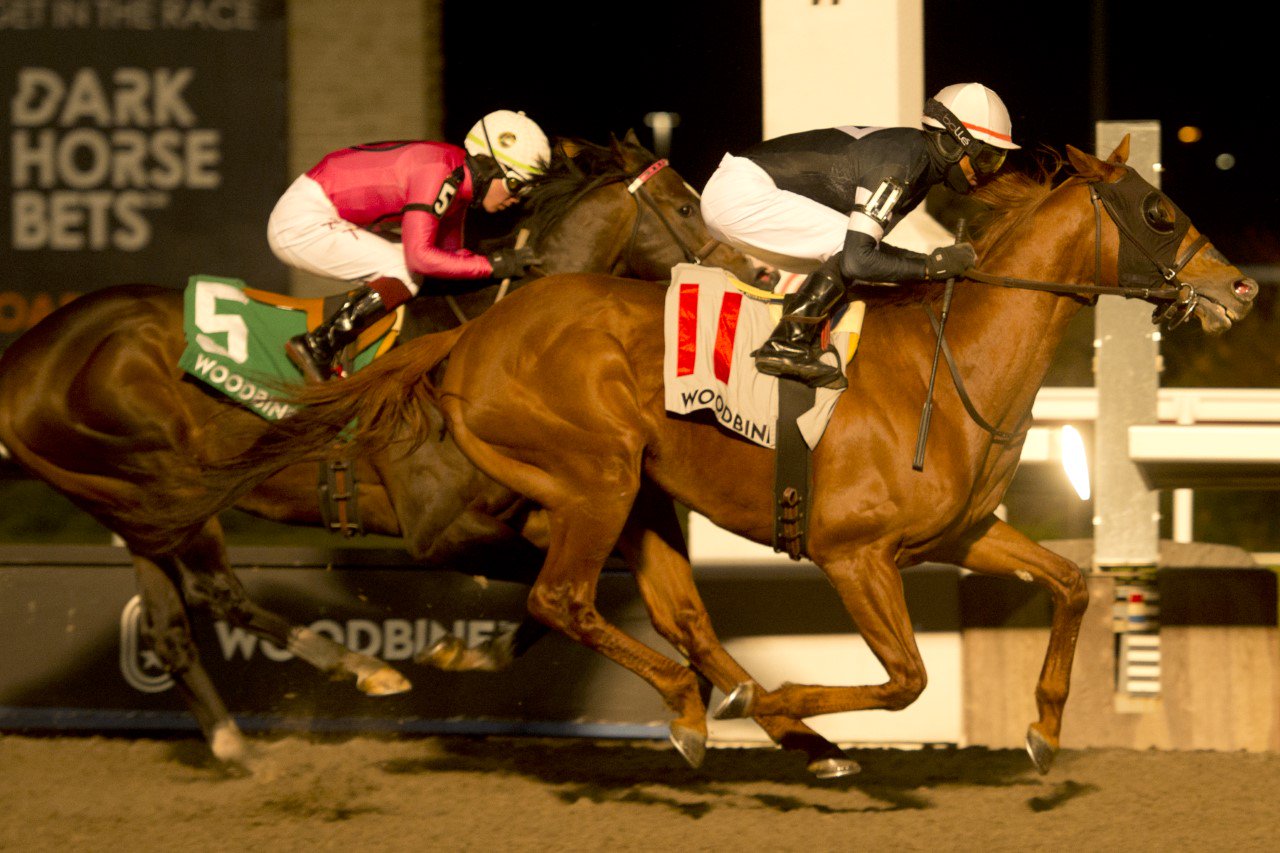 Woodbine’s 2021 Thoroughbred meet concludes with record closing day