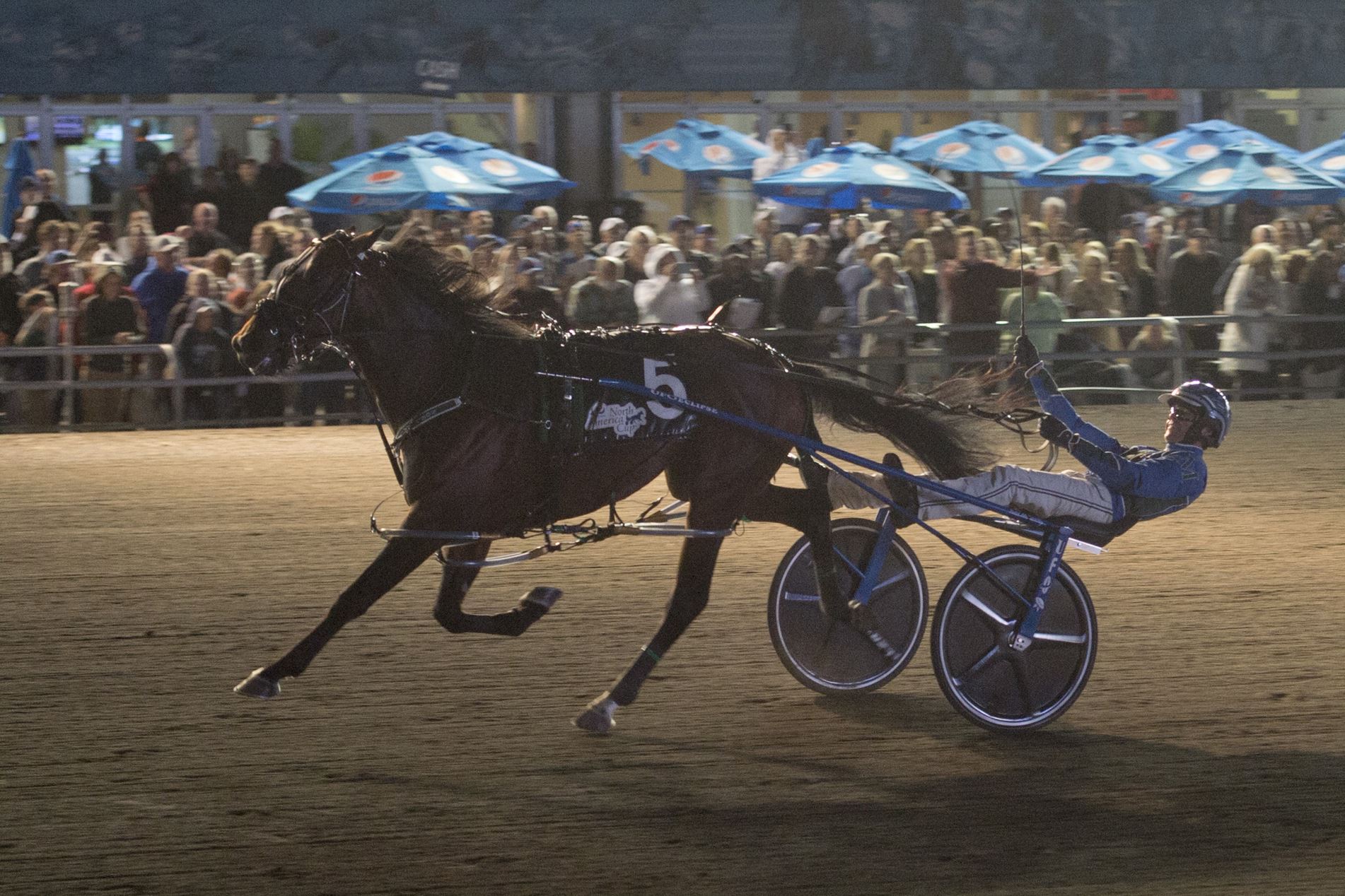 Woodbine announces Stars of the Month for June Woodbine Racetrack