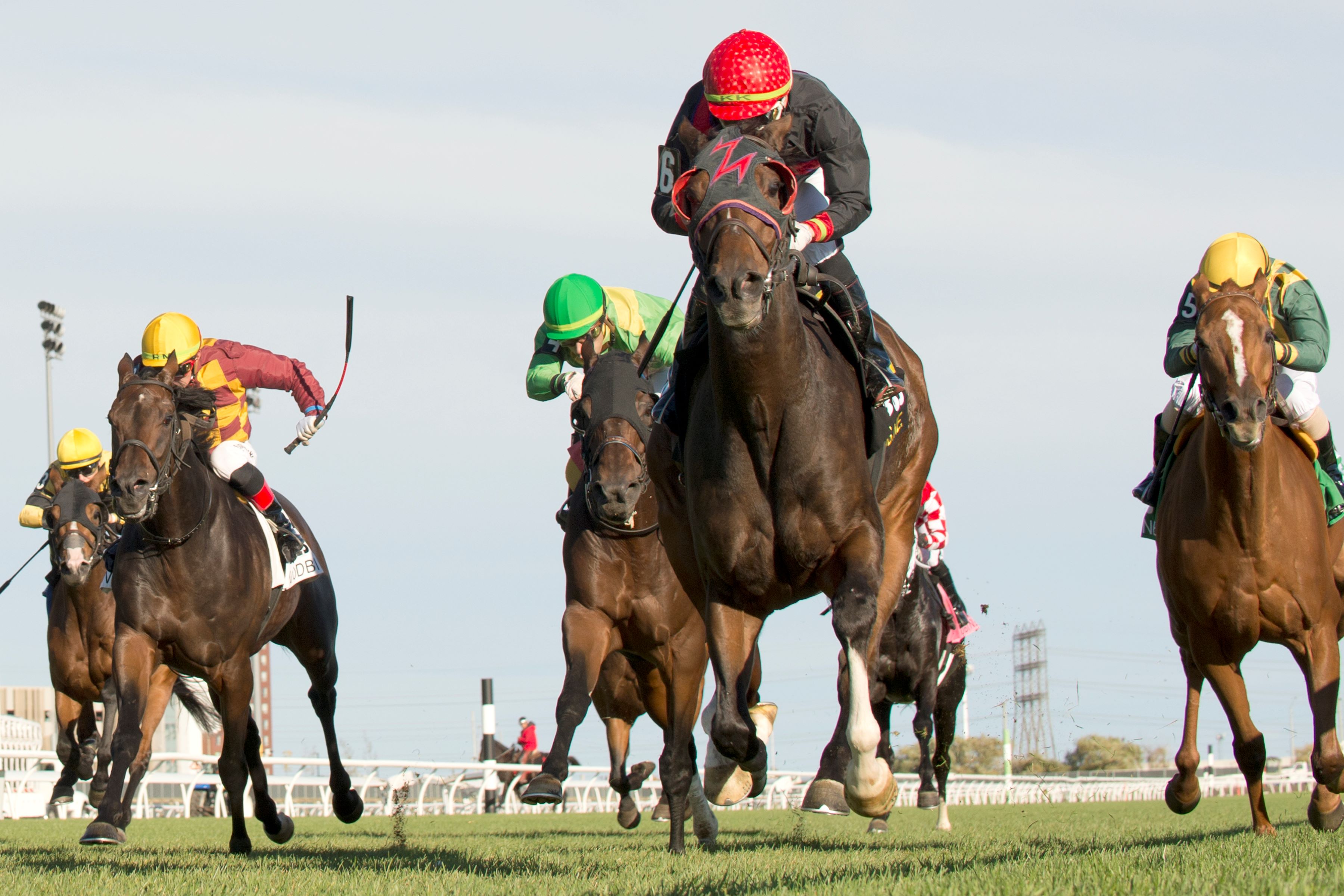 Perfect Crime at Woodbine (Michael Burns Photo)