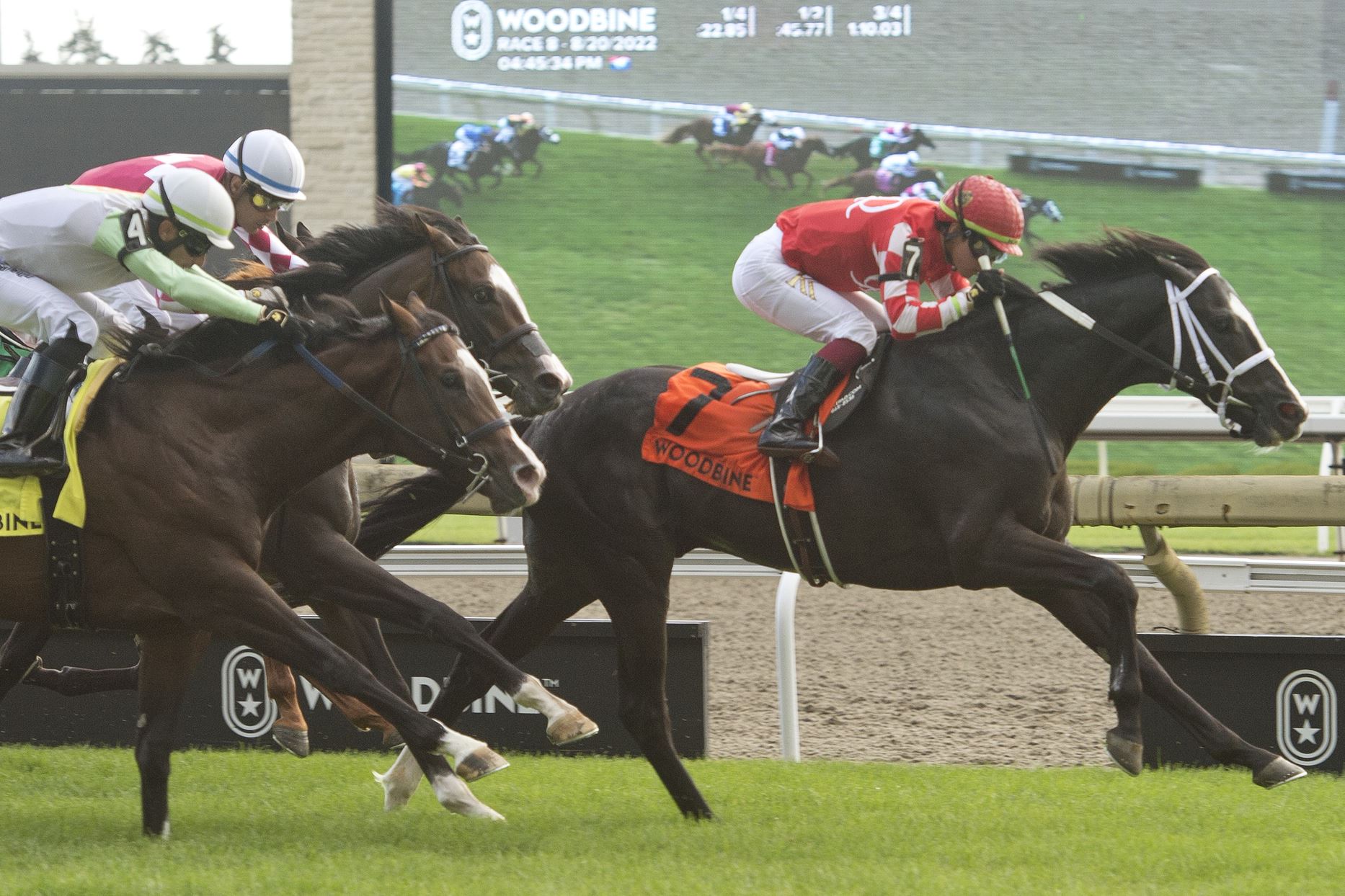 Philip My Dear springs into Grade 1 Pattison Summer - Woodbine Racetrack