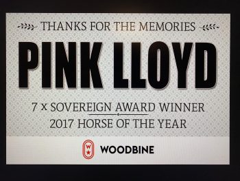 Pink Lloyd Commemorative Retirment Sign.